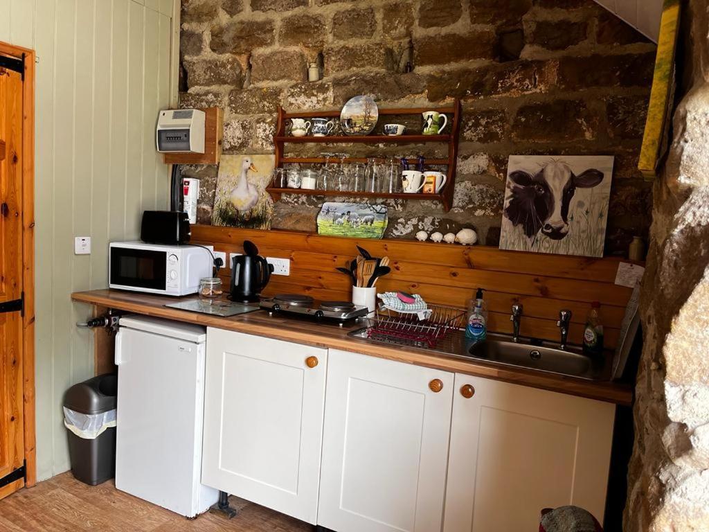 Shepherd'S Hut Bilsdale Chop Gate Kültér fotó
